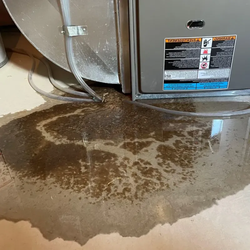Pipe Burst and Leak Restoration in Nixon, PA