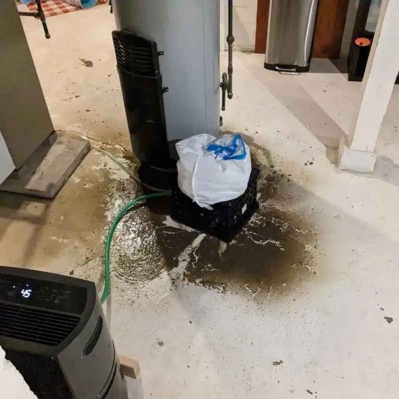 Sewage Backup Cleanup Service in Nixon, PA